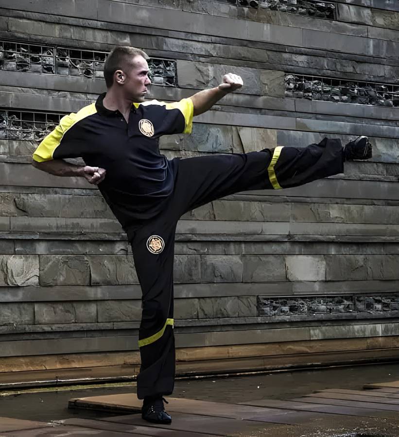 Sifu Hofmann - Kampkunstzentrum Waldmohr - AOTW Art of the Warrior - Support-Anfrage