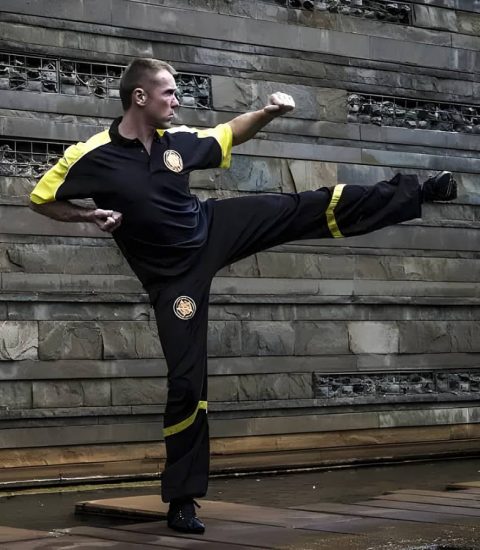 Sifu Hofmann - Kampkunstzentrum Waldmohr - AOTW Art of the Warrior - Support-Anfrage