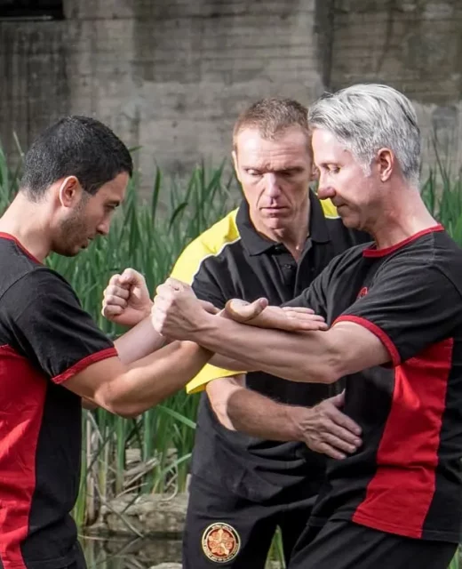 AOTW Kampfkunstzentrum Waldmohr - Instructor Ausbildung durch Dai-Sifu Martin Hofmann